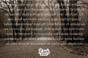 Twig Twag a branchy font, a Font by Rashdrawn (Thumbnail 2 of 3)