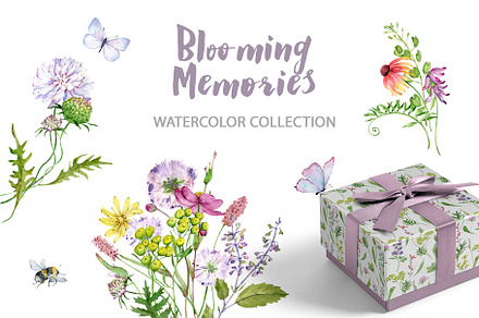 Blooming Memories Wildflowers