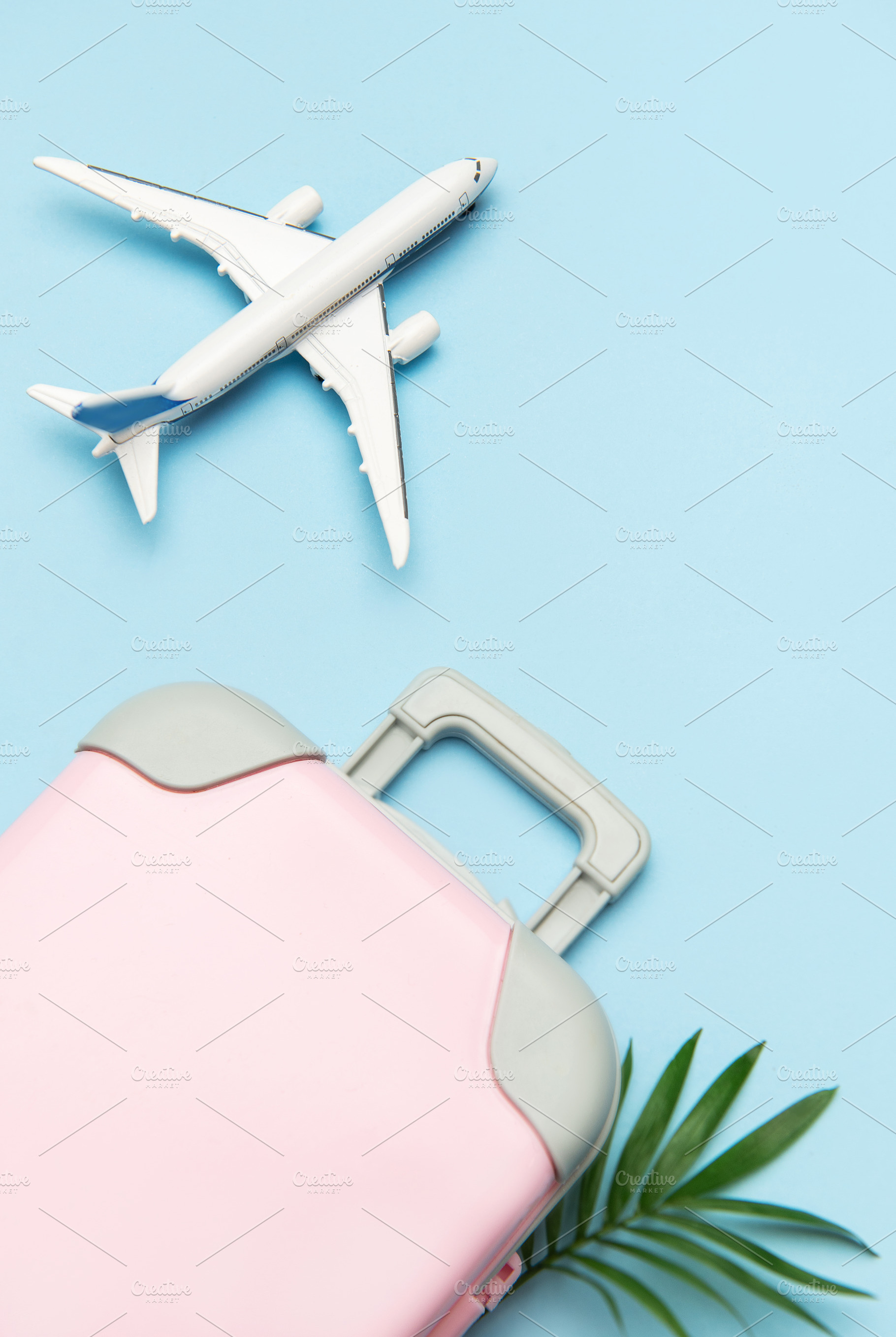 Pink suitcase, airplane model, and palm leaf on pastel blue back, a Holiday Photo by Olena Rudo
