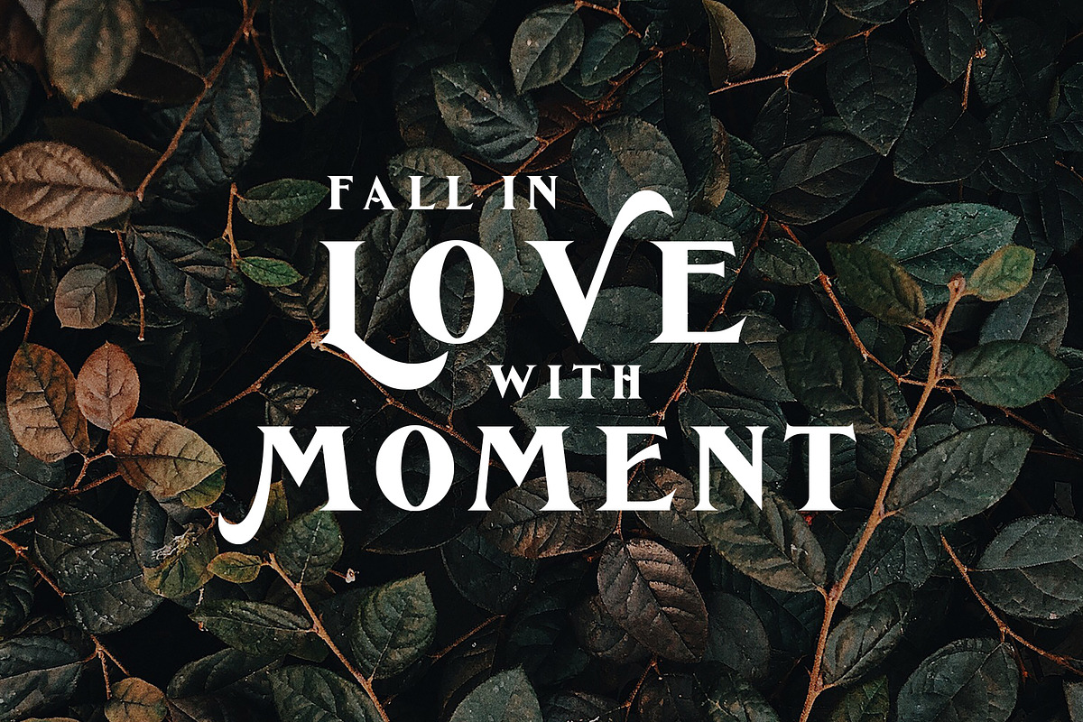 De Ginkgo, a Serif Font by Emyself Design (Photo 13 of 16)