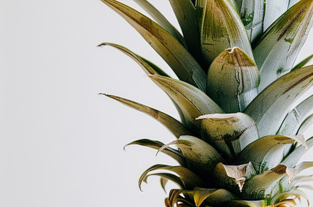 A vibrant, ripe pineapple isolated o, a Photo by LOGOCREATIVE