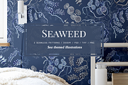 SEAWEED SEAMLESS PATTERNS & OBJECTS, a Decorative Illustration by Splash! (Thumbnail 1 of 8)