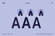 Juniper Display Font, a Sans Serif Font by bryrude (Thumbnail 3 of 4)