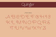 Quinger - Unique Sans Display, a Sans Serif Font by Almarkhatype (Thumbnail 10 of 10)
