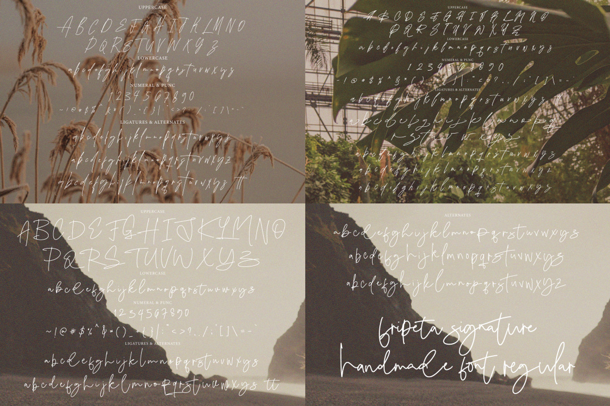 Casual Signature Font Bundles, a Handwritten Font by tebaltipislab (Photo 32 of 46)