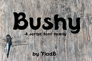 Bushy font family, a Script Font by vlad.berla (Thumbnail 1 of 12)