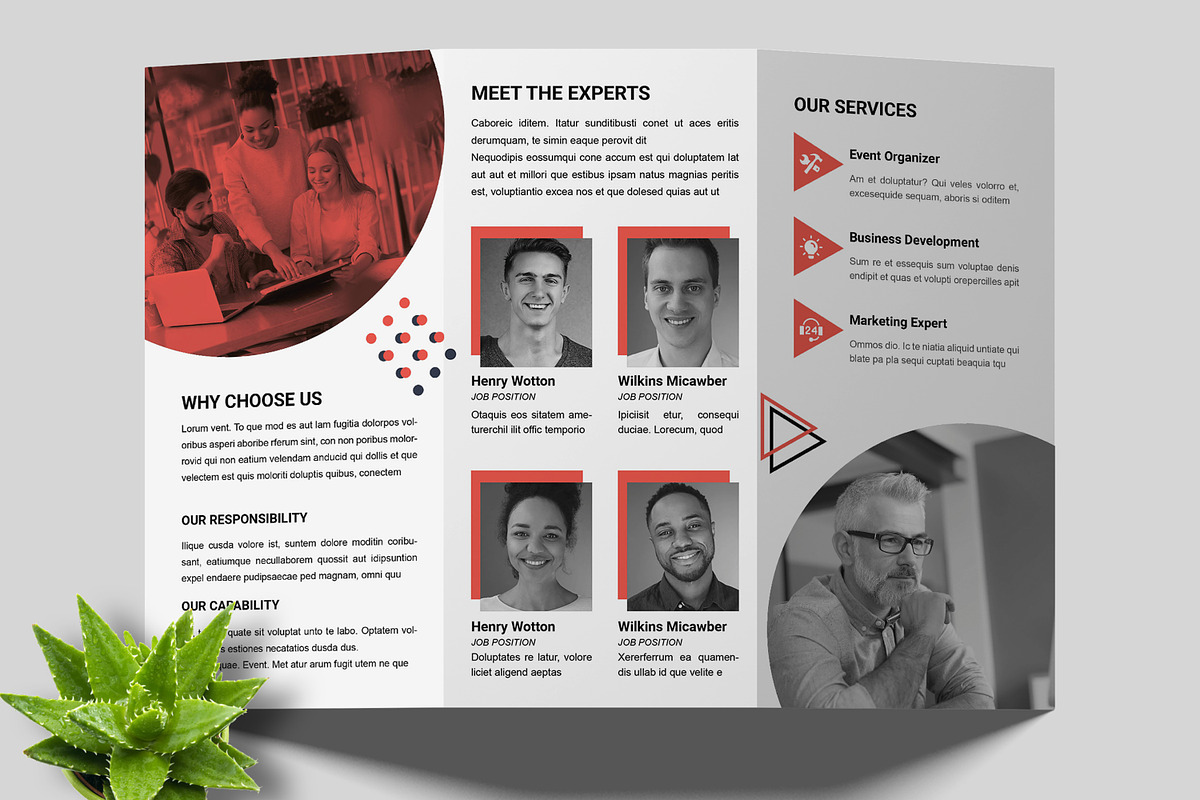 Business Trifold Brochure Design