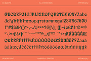 CS Bloom – Art Nouveau Font, a Serif Font by Craft Supply Co. (Thumbnail 8 of 8)
