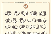 VECTOR COCONUTS HAND DRAWN BUNDLE, a Food Illustration by pawellpi (Thumbnail 6 of 6)