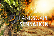 14 Landscape Sensation Presets, a Preset Add-On by Timeless Presets (Thumbnail 1 of 13)