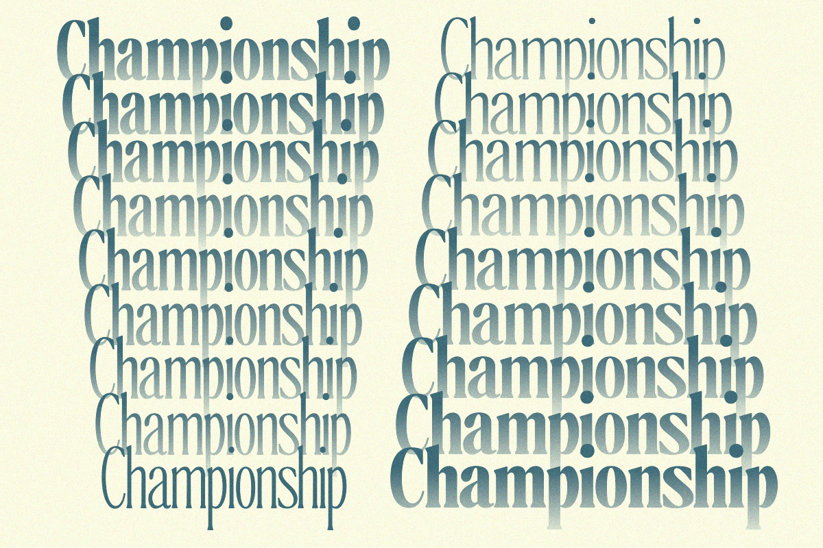 The Qualified Family (54 Fonts), a Serif Font by Positive TypeFoundry (Photo 13 of 15)