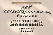 Qittchen - Handcrafted Vintage Font, a Handwritten Font by Nollev (Thumbnail 8 of 9)