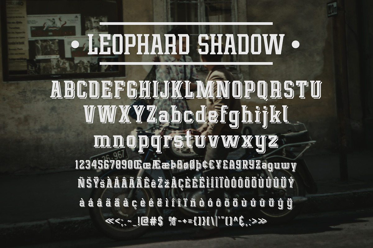 Leophard Font Family, a Slab Serif Font by Arterfak Project (Photo 10 of 14)