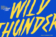 Wild Thunder - Energy Drink Font