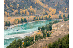 Azure water of Autumn Katun River, an Animal Photo by Fascinadora