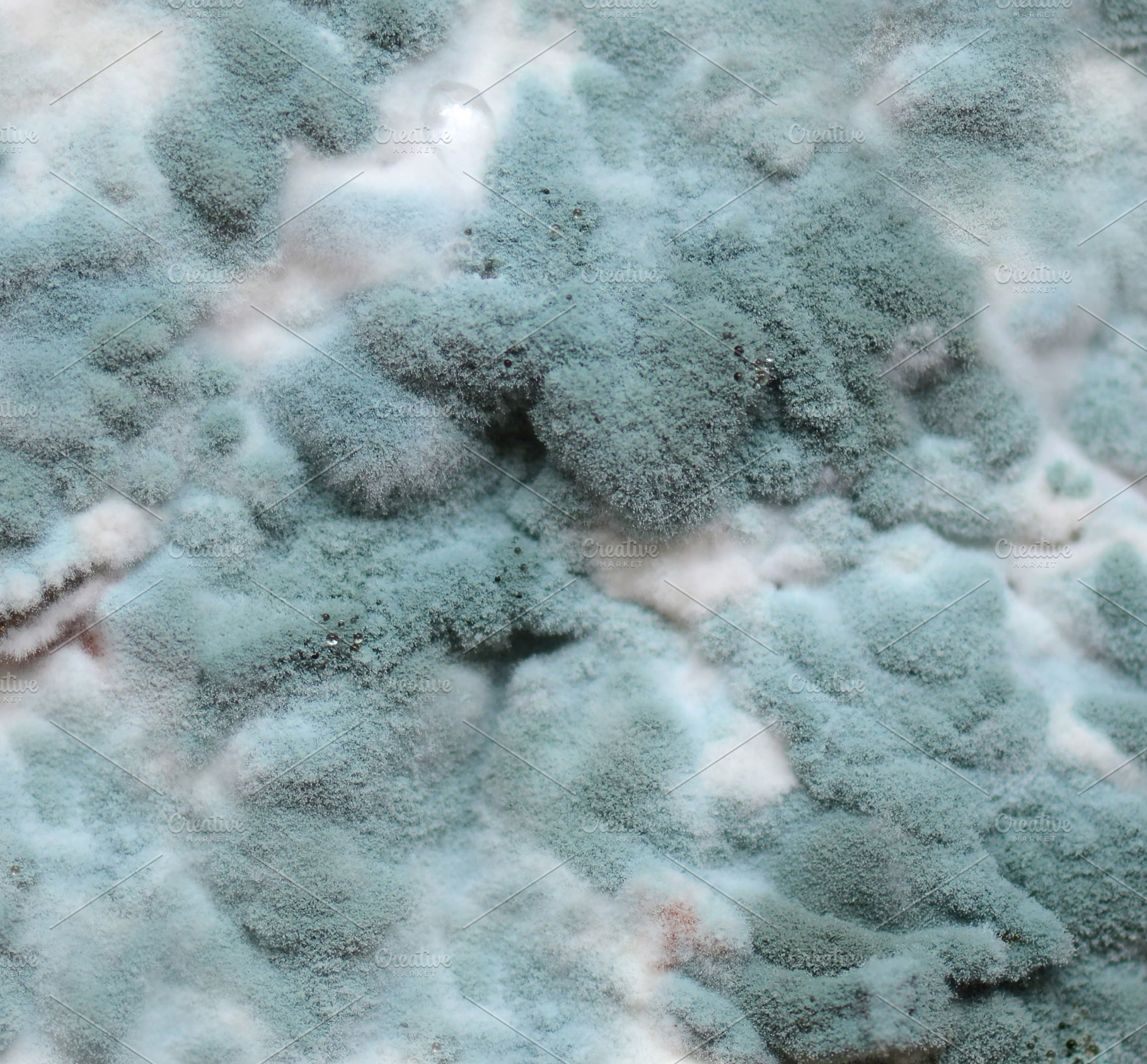 Mold. Abstract background., a Background Photo by LaserPrint