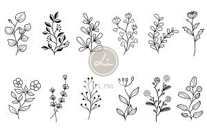 Hand drawn Botanical And Wildflowers, a Decorative Illustration by lindoet23