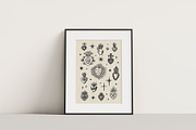 Vintage Sacred Hearts Bundle, an Object Graphic by Annie Konst (Thumbnail 12 of 15)
