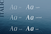 Echelon || A Modern Serif Typeface, a Serif Font by Marcelina Pulcini Designs (Thumbnail 4 of 5)