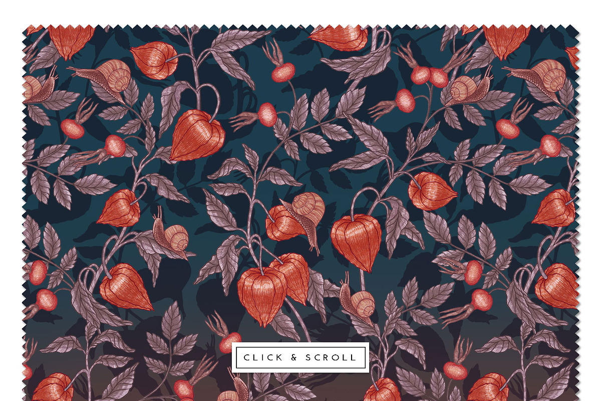 PHYSALIS GARDEN — Botanical Patterns, a Decorative Illustration by Liiafis (Photo 7 of 17)