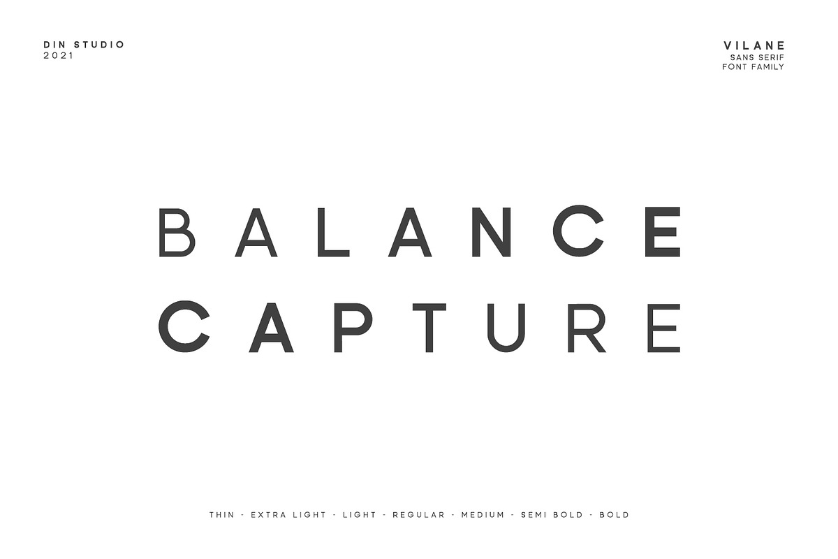 Vilane, a Script Font by din-studio.com (Photo 3 of 11)