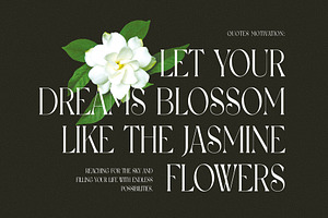 Jasmine Elegant & Minimalist Serif