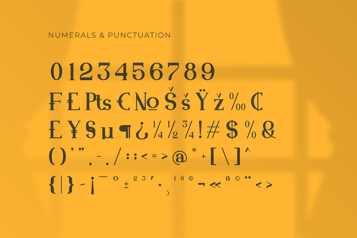 Ashfield - Serif Typeface Font, a Serif Font by Rishsketch (Photo 13 of 15)