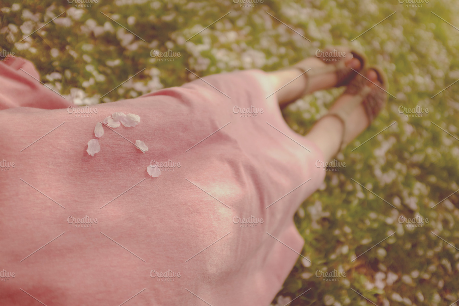 All in pink. Cherry Blossom petals.