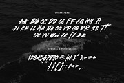Brotherhood - Brush Script Font, a Handwritten Font by Rometheme Std (Thumbnail 11 of 12)