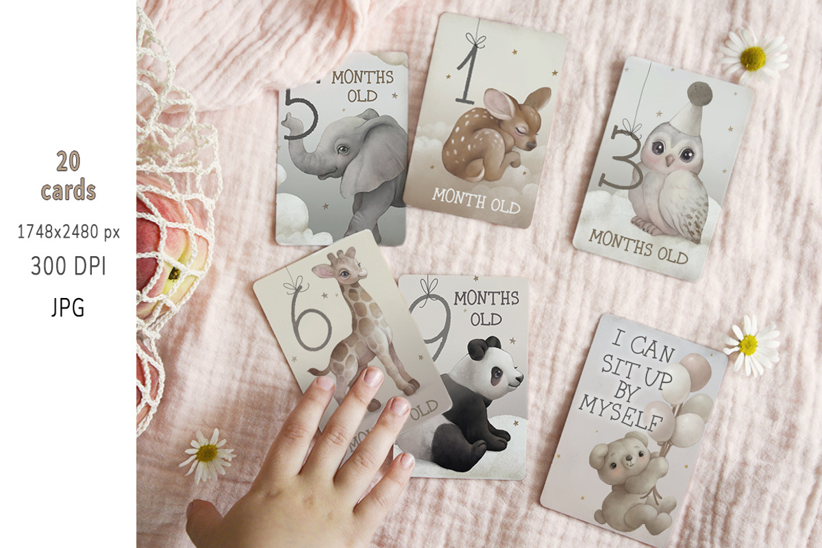 Animal ABC World map watercolor set, an Animal Illustration by TanyaSchuka (Photo 20 of 22)