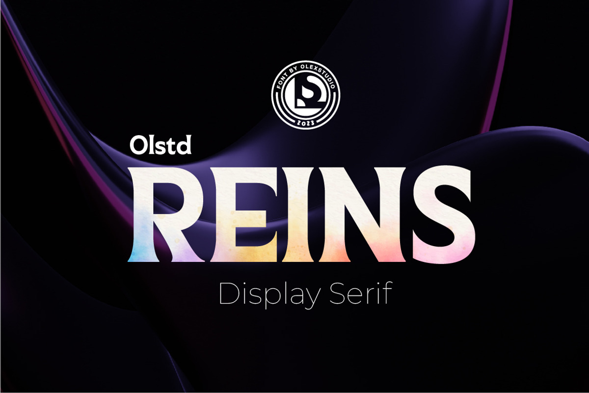 REINS Olstd - Display Serif, a Serif Font by Olexstudio (Photo 1 of 6)