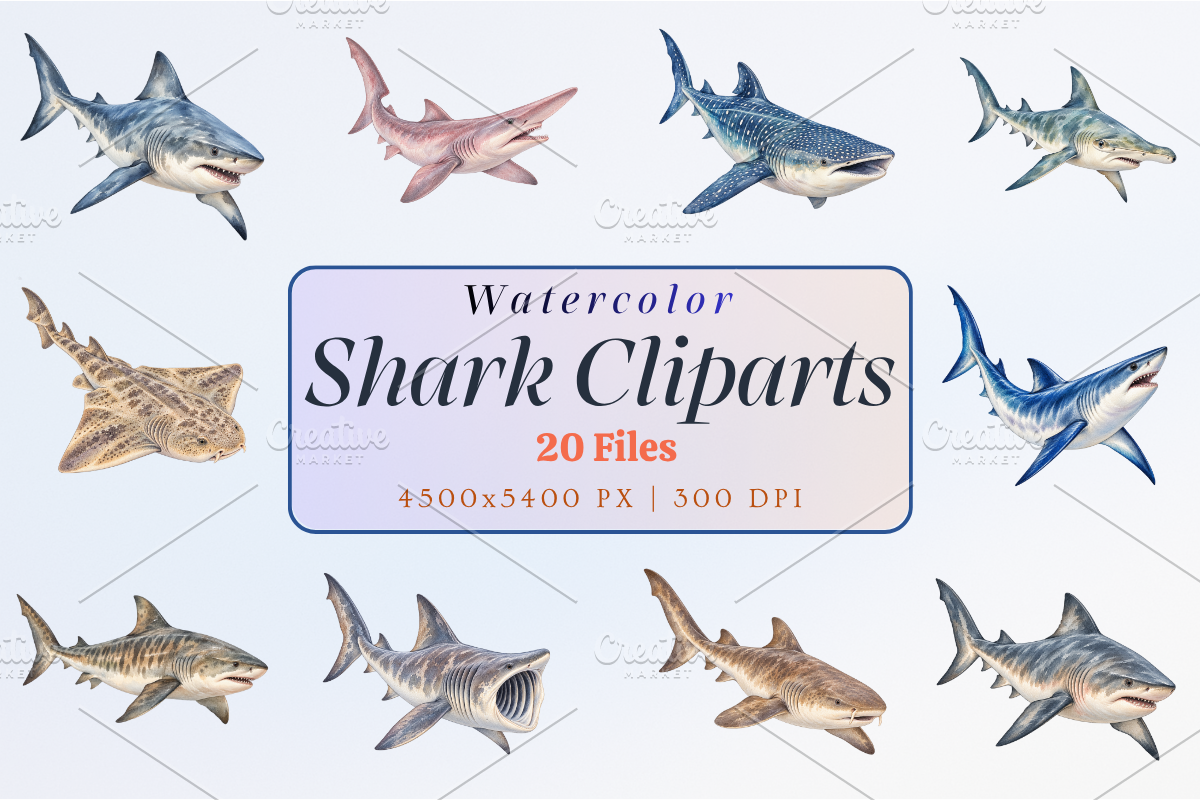 Watercolor Shark Clipart PNG Bundle, an Animal Illustration by Ink Gallery (Photo 1 of 7)