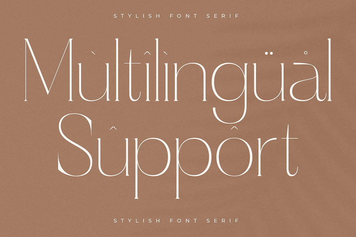 Haloyen Stylish Font Serif, a Serif Font by Storytype Studio (Photo 10 of 15)