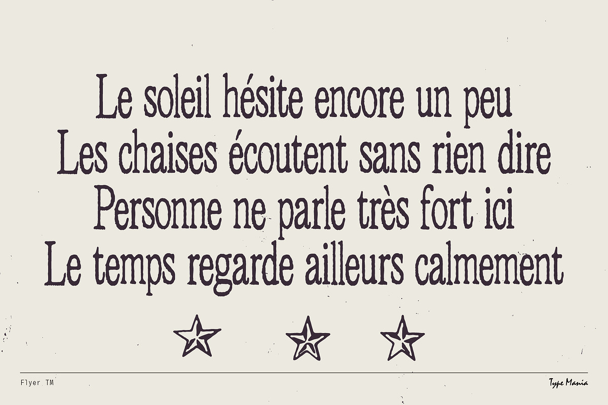 Flyer TM – Distressed Serif, a Serif Font by Type Mania (Photo 8 of 10)