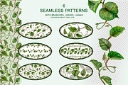 KIWI PATTERNS, botanical watercolor, a Decorative Illustration by EL_SUHOVA (Thumbnail 4 of 13)