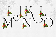 Holiday Alphabet Design Set, a Decorative Illustration by Maggie Stilwell Design (Thumbnail 8 of 10)