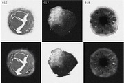 SPACE SPECIMENS retro abstract blobs, an Object Graphic by Amy Louise Baker (Thumbnail 12 of 15)