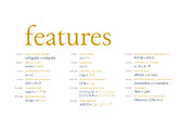 Paciencia, a Serif Font by typographias (Thumbnail 3 of 11)