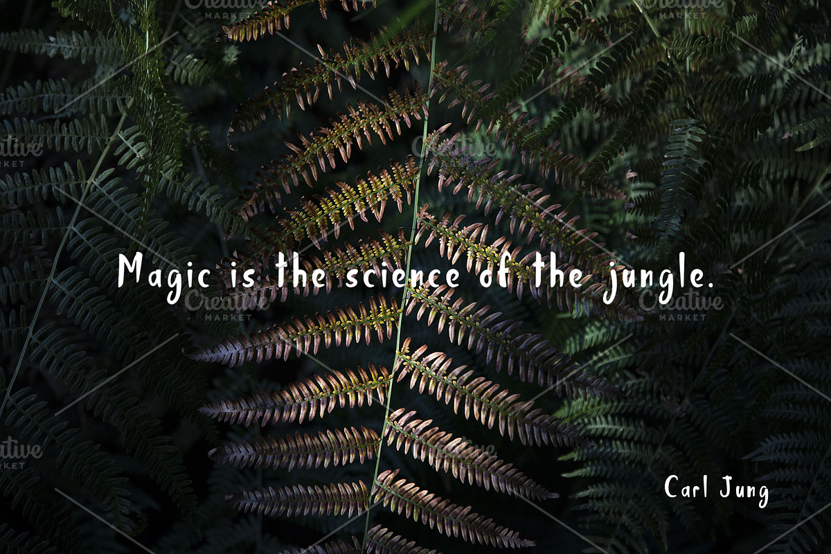 Jungle Display Font, a Script Font by Nadezda (Photo 7 of 8)