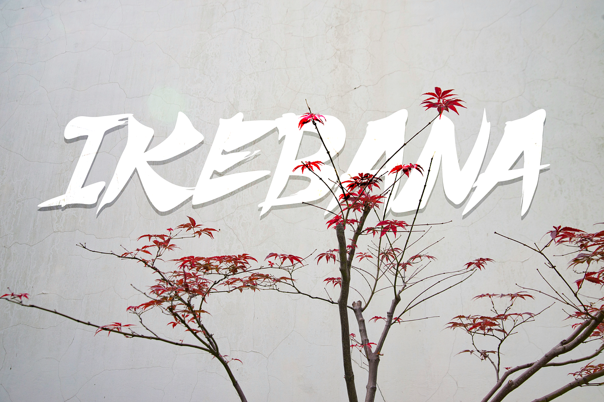 Shuriken, a Handwritten Font by BBtypeStudios (Photo 3 of 9)