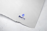 Blue Fire Modern Brand Logo Template, a Branding & Logo Template by Graplick (Thumbnail 3 of 3)