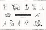 Woodland Drawings, an Animal Illustration by PeDe Designs (Thumbnail 7 of 9)