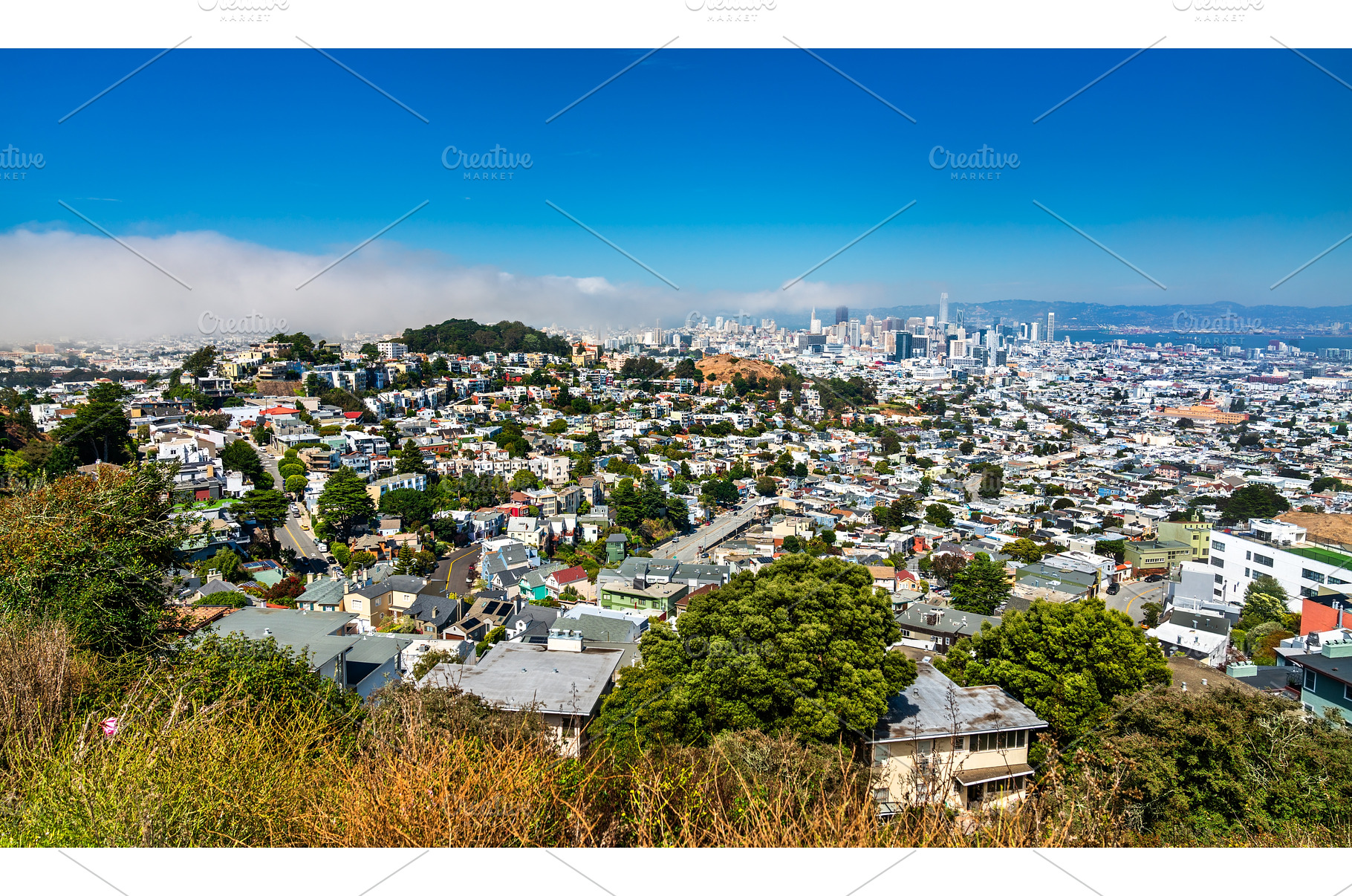 Panoramic view of San Francisco, an Architecture Photo by Leonid Andronov