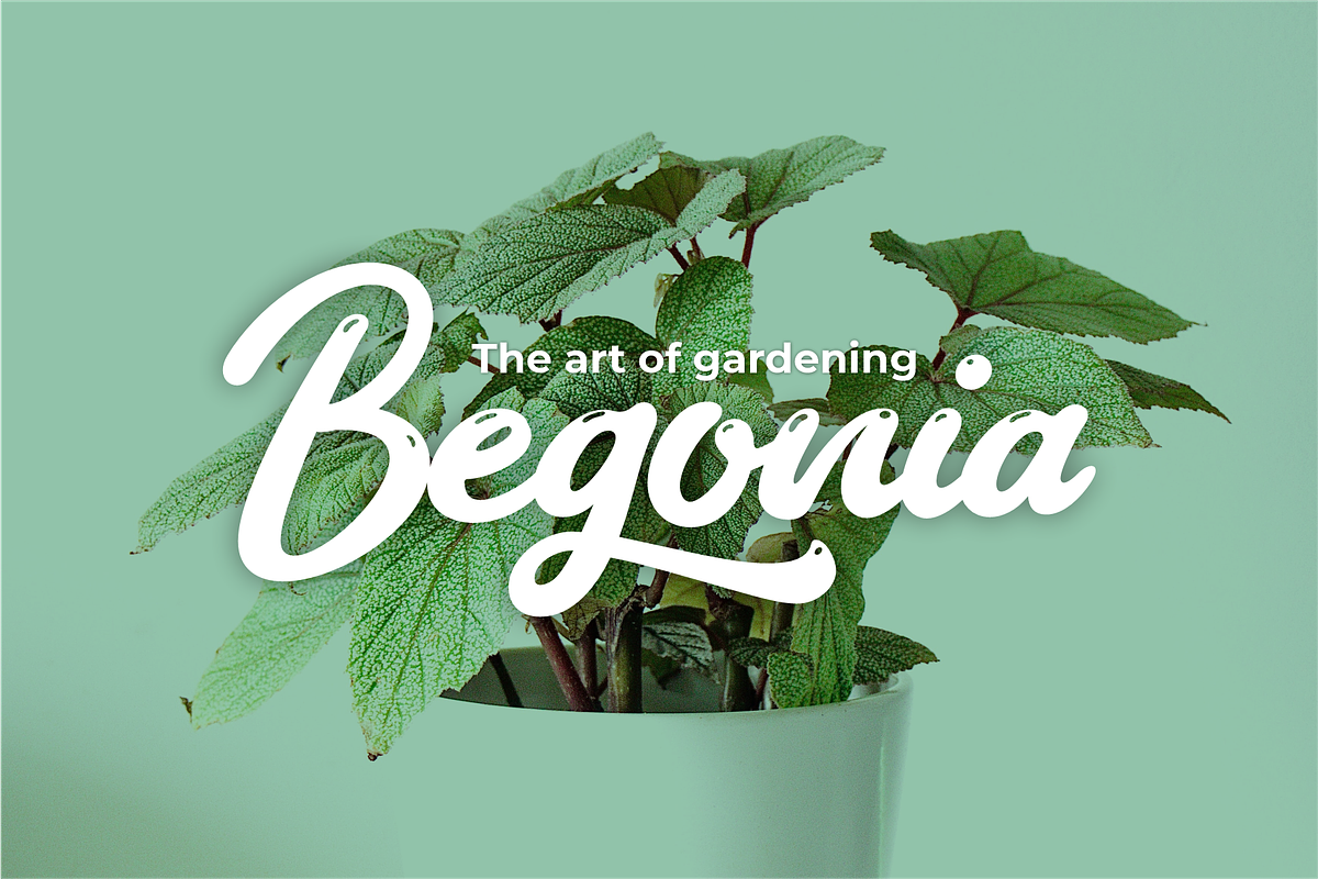 Choco Berry - Delicious Food Fonts, a Script Font by 50Fox (Photo 15 of 20)