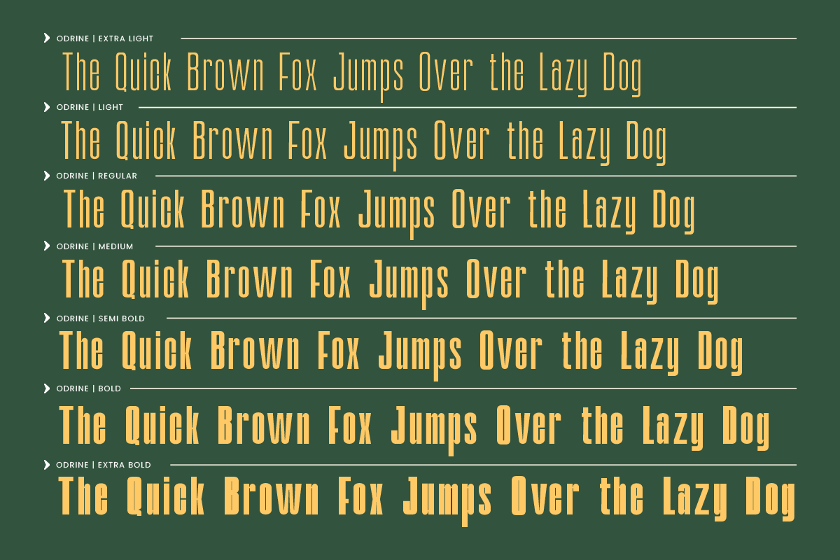 Odrine - A Retro Modern Condensed, a Sans Serif Font by roomspace creative lab (Photo 7 of 12)