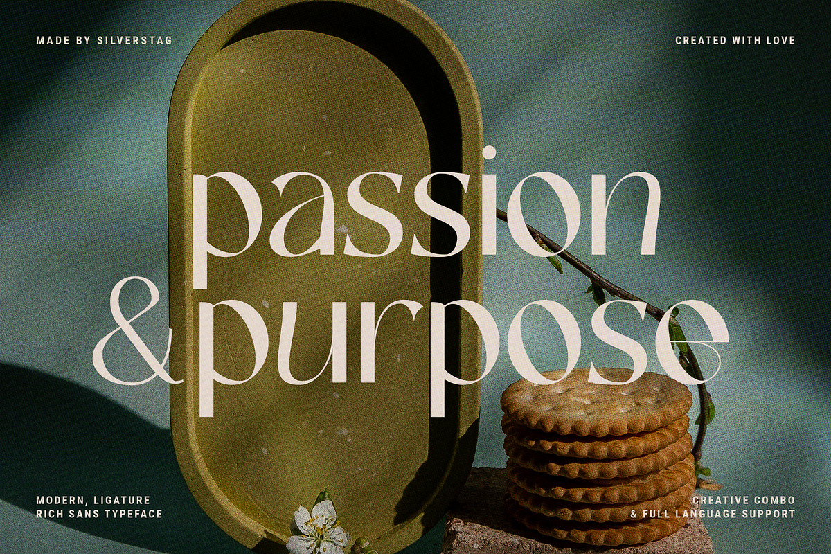 FRENCH CHATEAUX - Chic Display Font, a Sans Serif Font by SilverStag Type Foundry (Photo 7 of 22)