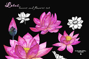 Lotus flowers and leaves, a Decorative Illustration by Art AleshkaK (Thumbnail 2 of 3)