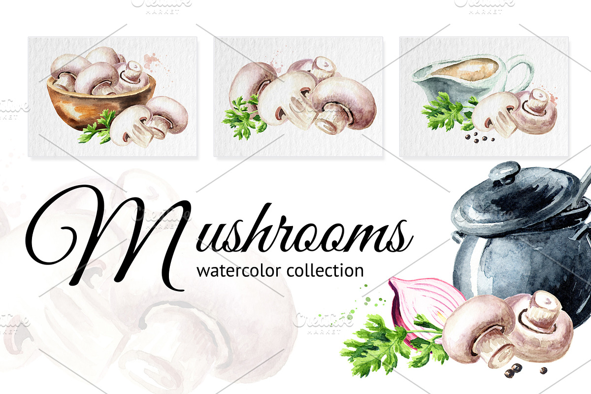 Mushrooms. Watercolor collection, a Food Illustration by Daria Ustiugova (Photo 1 of 7)