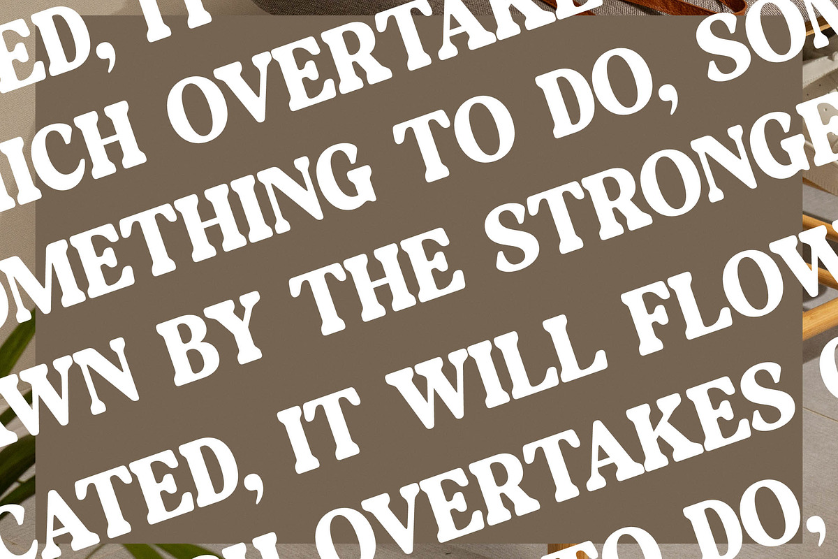 Daylist Beach Retro Serif Font, a Serif Font by Letterena Studios (Photo 10 of 15)