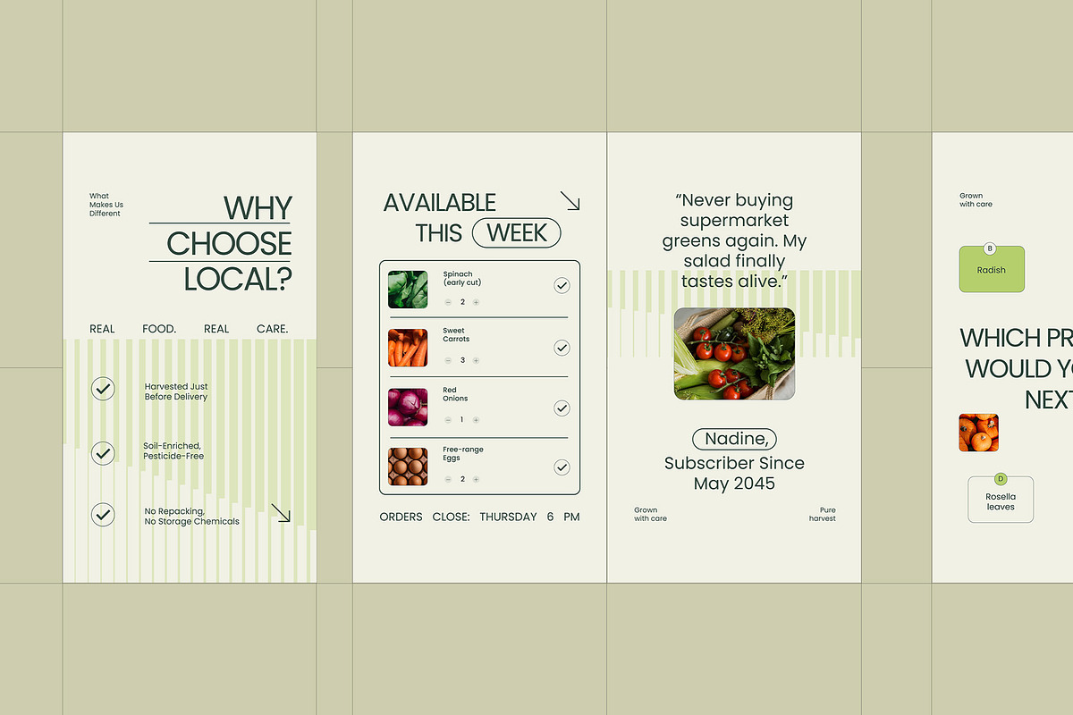 Groceries Instagram Template Pack, a Social Media Template by fakhroo (Photo 5 of 5)